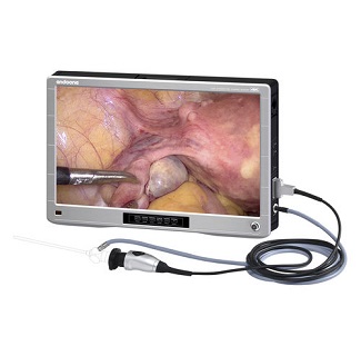 Endoscopy Camera